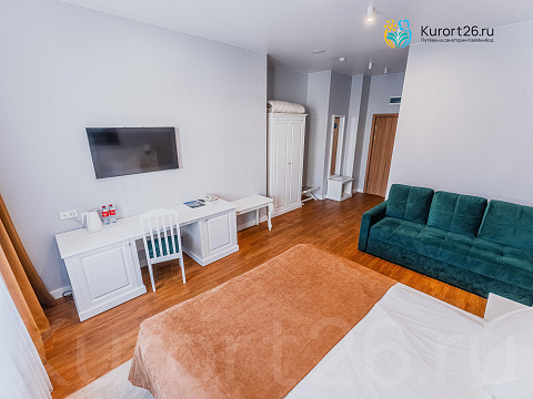 Санаторий «Долина Нарзанов» г. Кисловодск. Номера